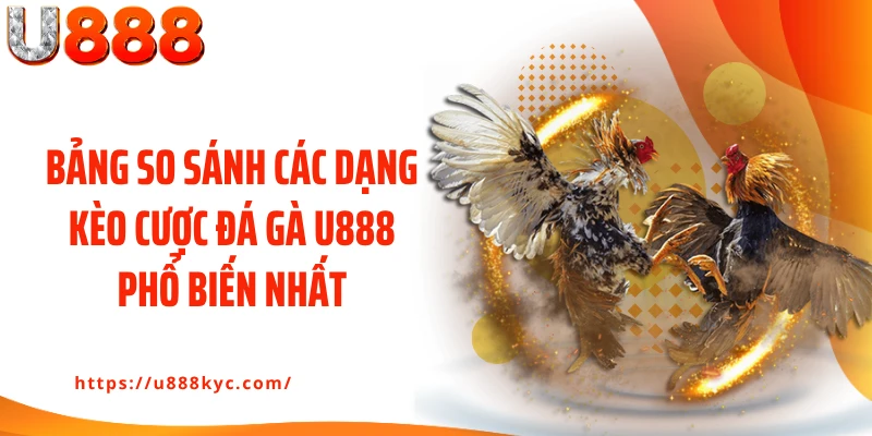Bảng so sánh các dạng kèo cược đá gà U888 phổ biến nhất