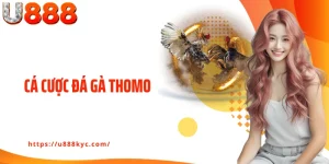 Cá Cược Đá Gà Thomo U888: Kiếm Thưởng Chọi Kê An Toàn 