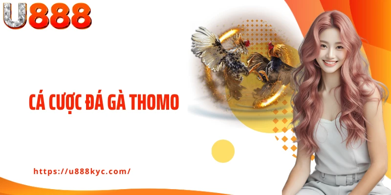 Cá Cược Đá Gà Thomo U888: Kiếm Thưởng Chọi Kê An Toàn 