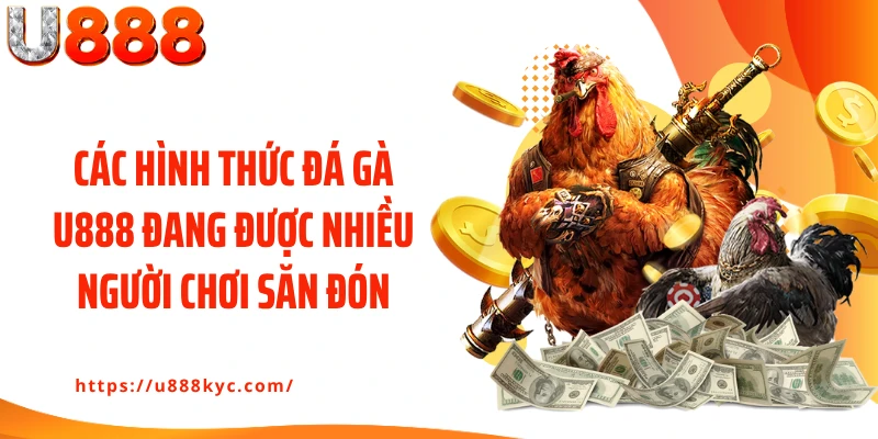 Các hình thức đá gà U888 đang được nhiều người chơi săn đón