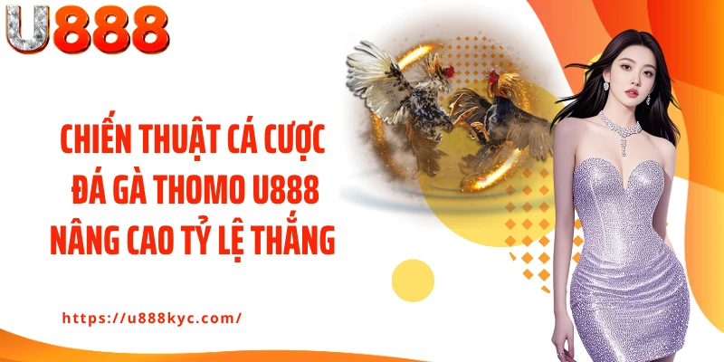 Chiến thuật cá cược đá gà Thomo U888 nâng cao tỷ lệ thắng