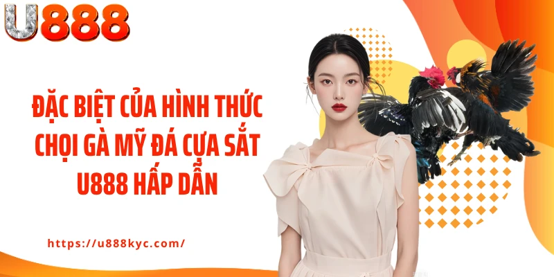 Đặc biệt của hình thức chọi gà Mỹ đá cựa sắt U888 hấp dẫn
