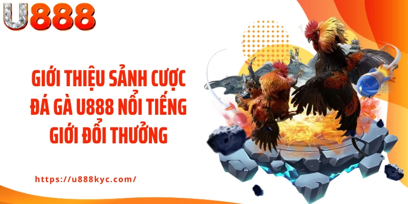 Giới thiệu sảnh cược đá gà U888 nổi tiếng giới đổi thưởng