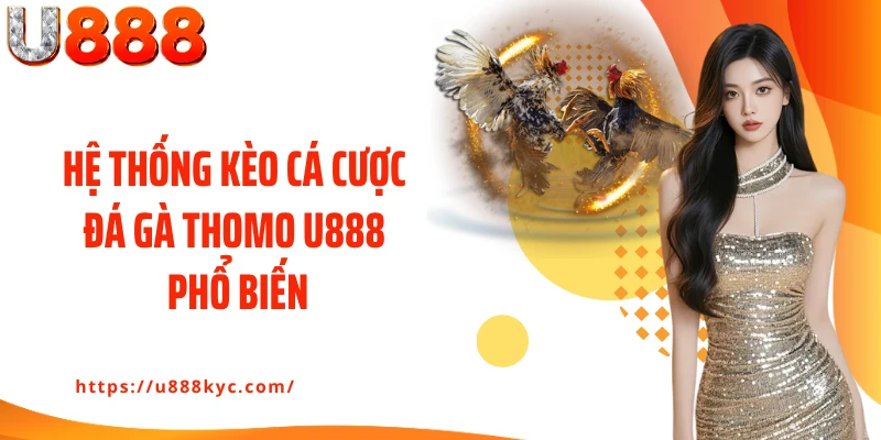 Hệ thống kèo cá cược đá gà Thomo U888 phổ biến
