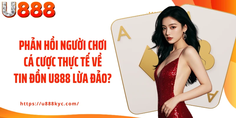 Phản hồi người chơi cá cược thực tế về tin đồn U888 lừa đảo?