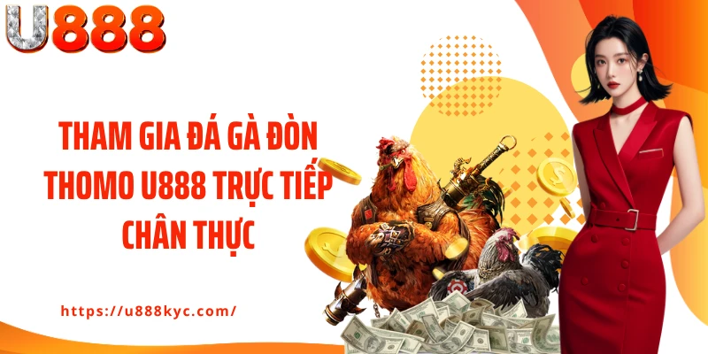 Tham gia đá gà đòn Thomo U888 trực tiếp chân thực